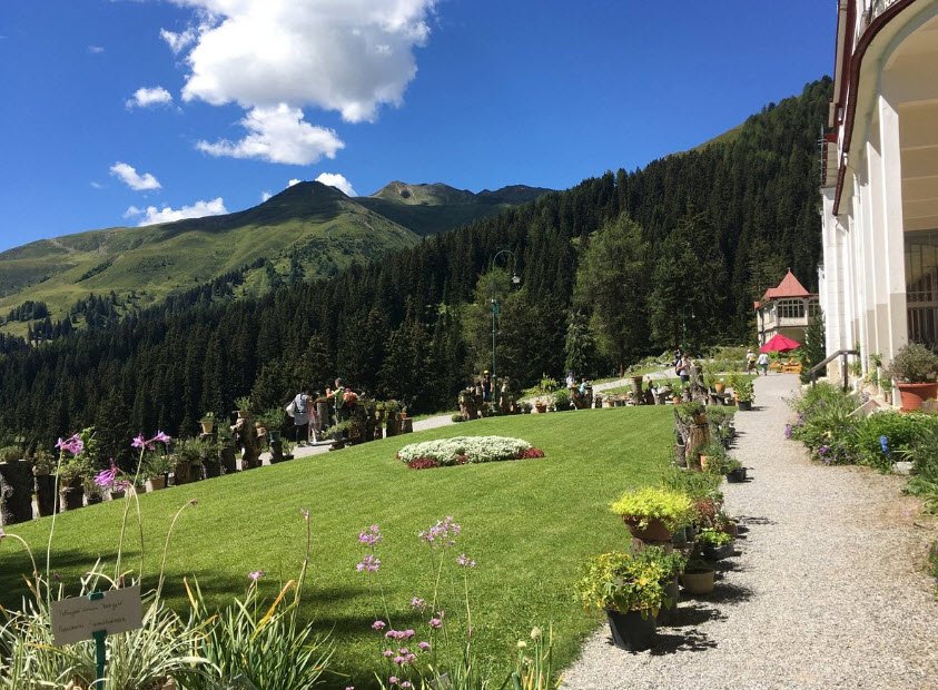 Botanischer Alpengarten Schatzalp Alpinum, Switzerland